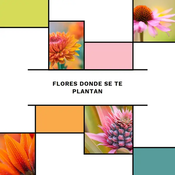 Florecer donde estás plantado white modern-geo-&-linear