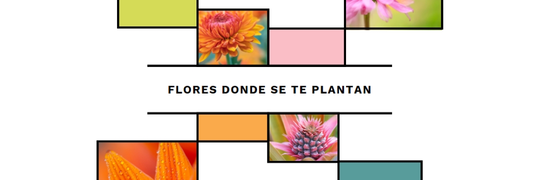Florecer donde estás plantado white modern-geo-&-linear